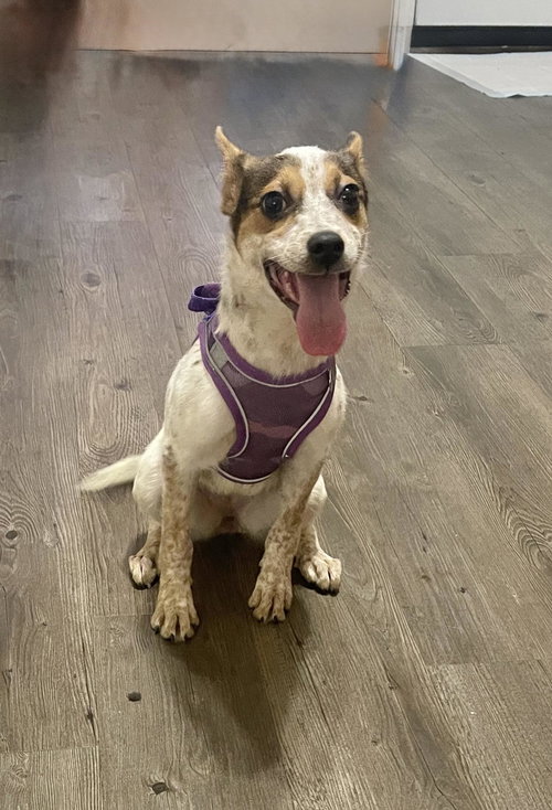 Delilah- sweet girl