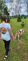 Peaches-sweet treat - Photo 16