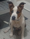 Mercury - Photo 5