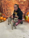 Nugget- Miss Shorty! - Photo 4