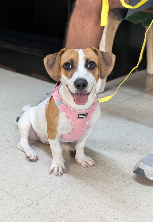 Coraline- short and sweet