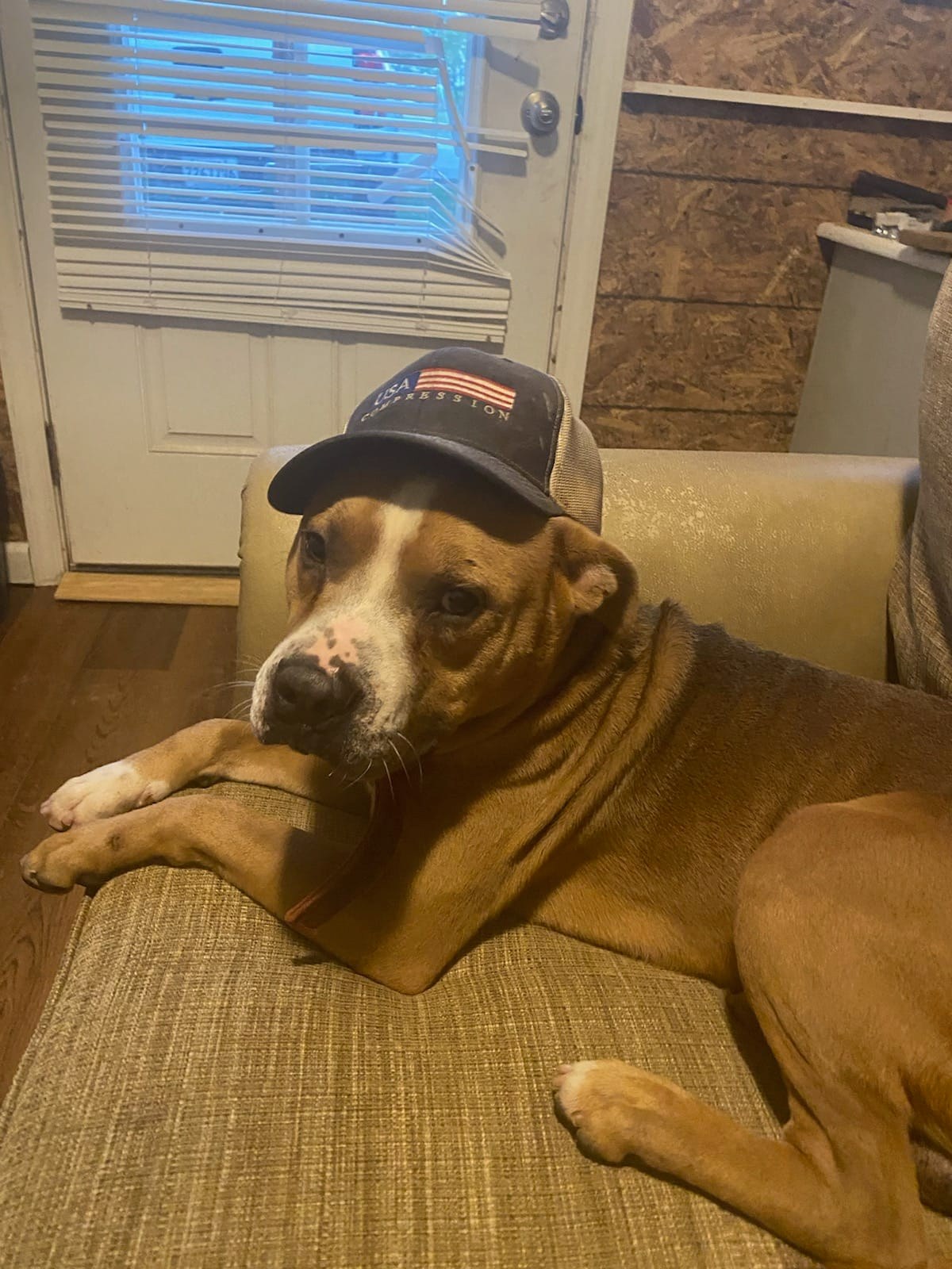 Brocho - A Total Sweetheart