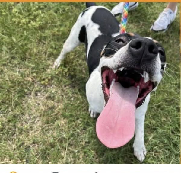 Coco – happiest girl you’ll ever meet!