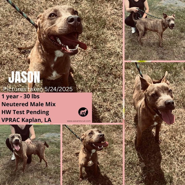 Jason - A Firecracker
