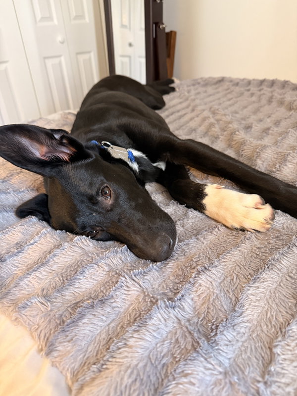 Gloria - The Sweetest Survivor