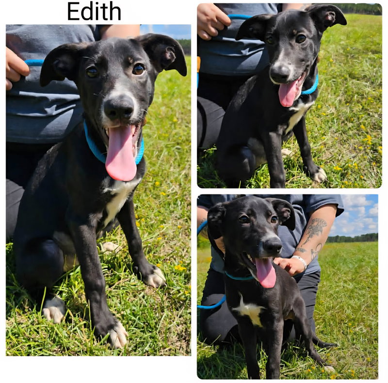 Edith – Playful Sweetheart