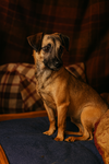 Rolo - Quiet Soul - Photo 4