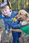 Percy - ADOPTION PENDING - Photo 5