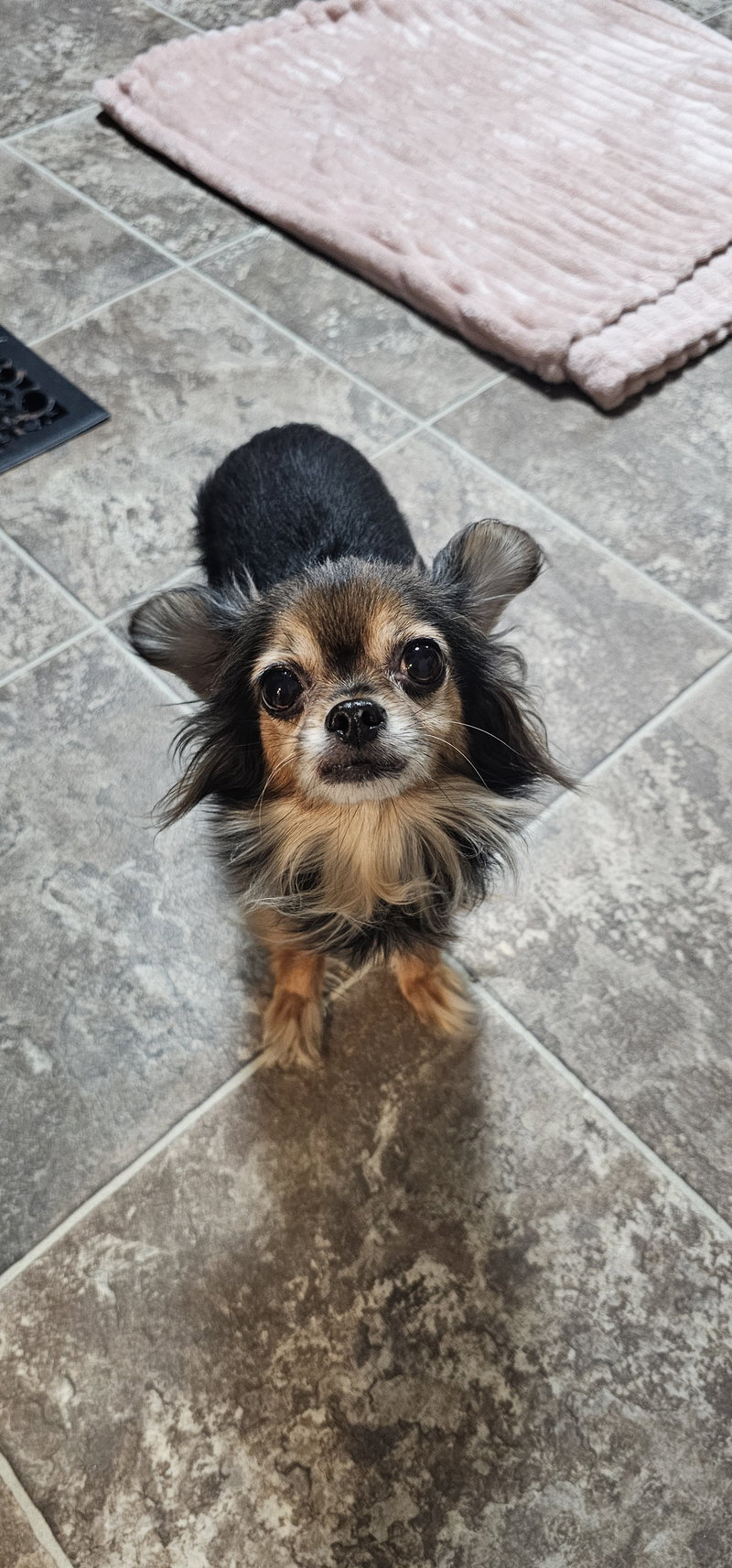 Nyla- Sweet and Sassy senior