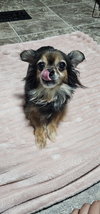 Nyla- Sweet and Sassy senior - Photo 3