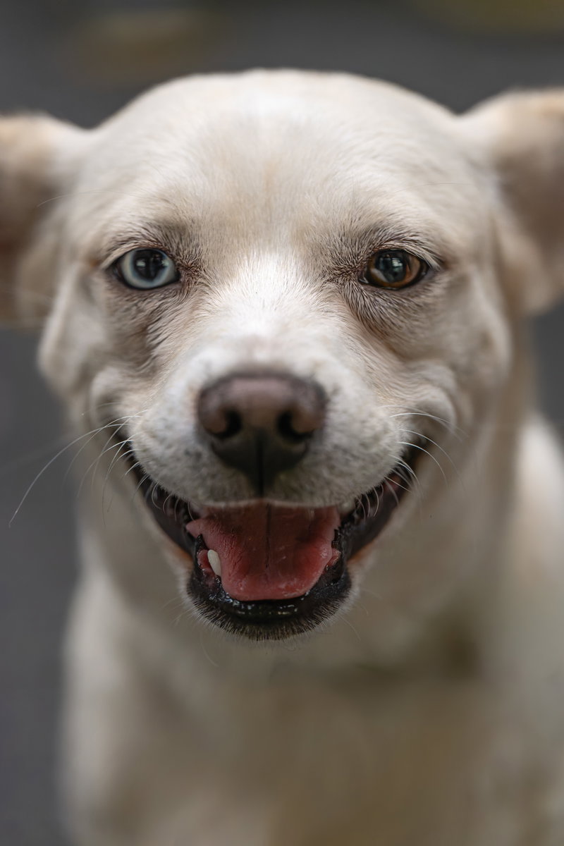 Greta – stunning girl