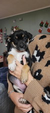 Andi ~ NO MORE APPLICATIONS, PLEASE!! - Photo 2