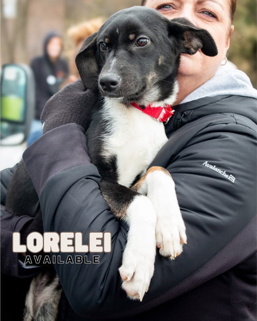 Lorelei - super model in the making — thumbnail 8