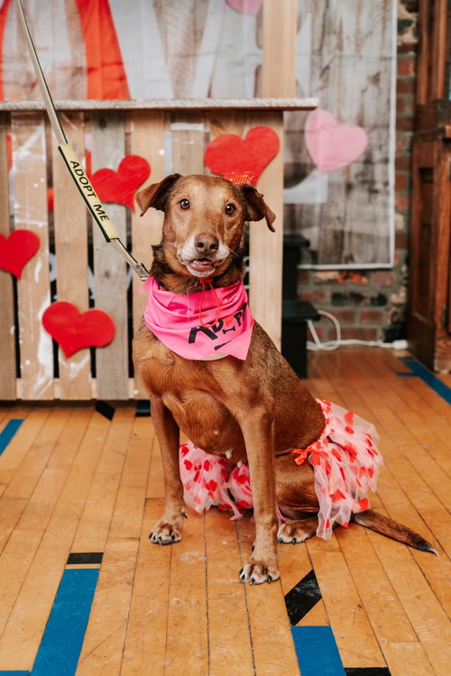 Reba - Ready to Be Loved — thumbnail 4