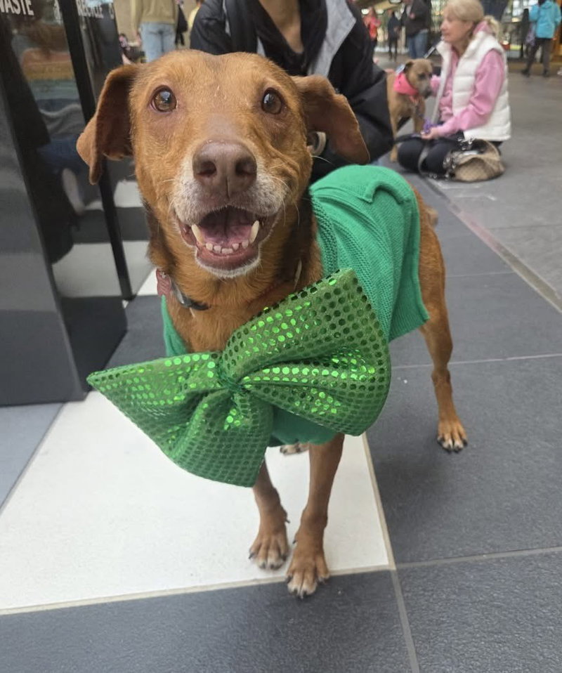 Reba – Ready to Be Loved