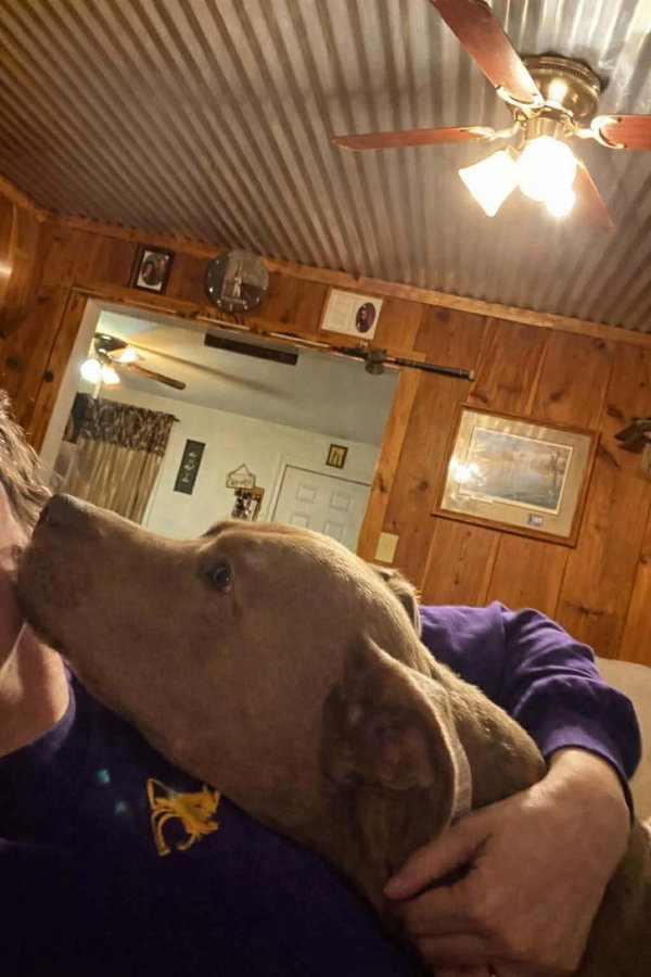 Velora- puppy at heart