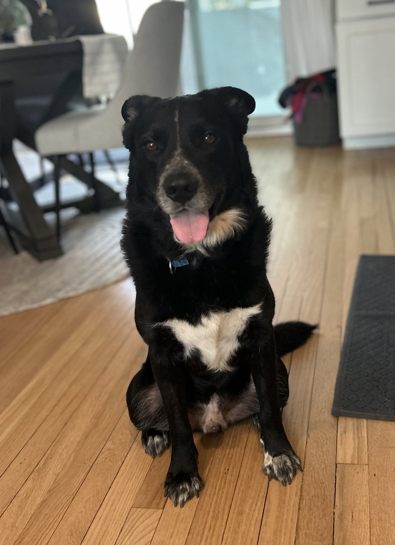 Johnny- your best pal