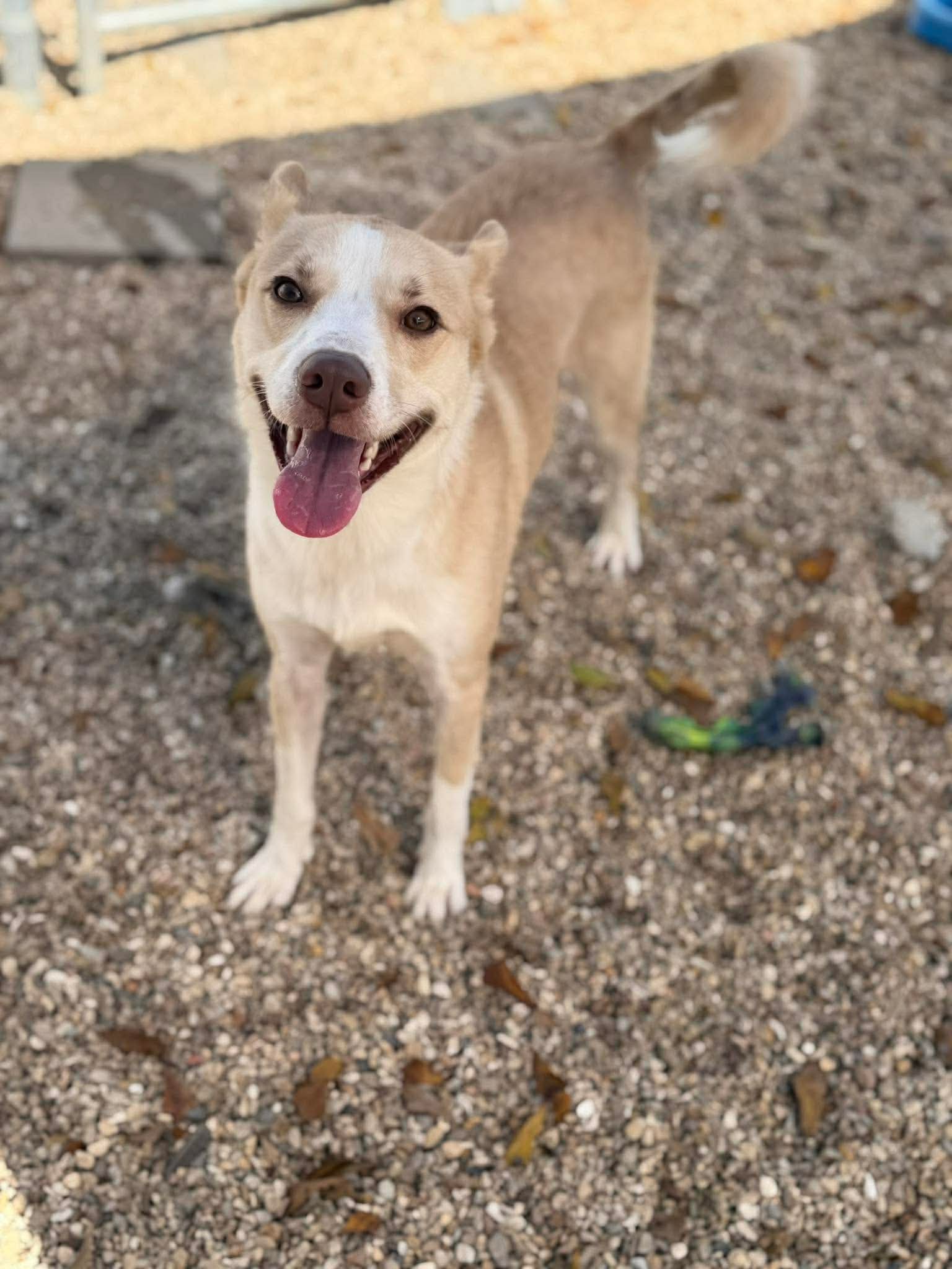 Leah-sweet girl who deserves better Image