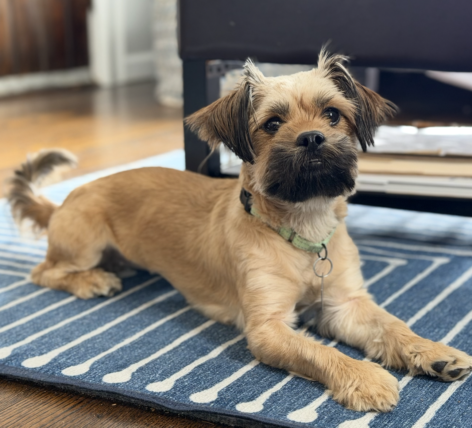 Chanel-tiny sweetheart Bonded to Velani
