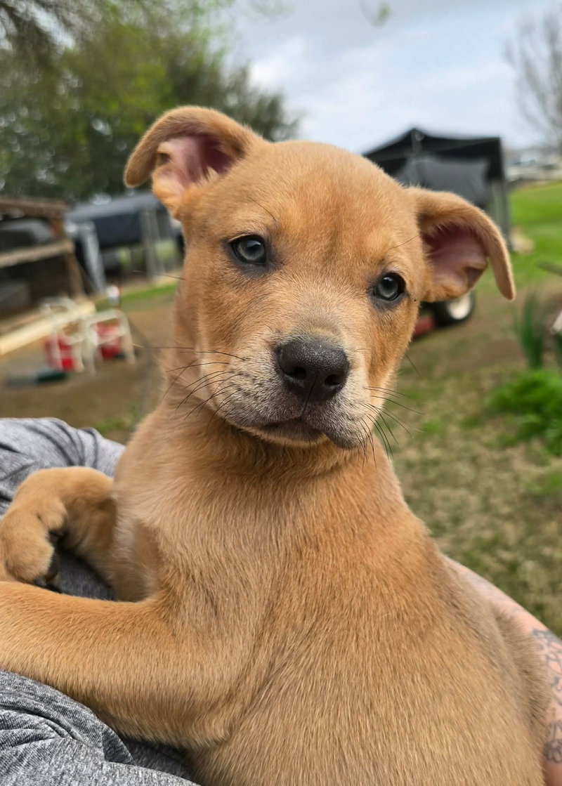 Gatlin- stunning boy