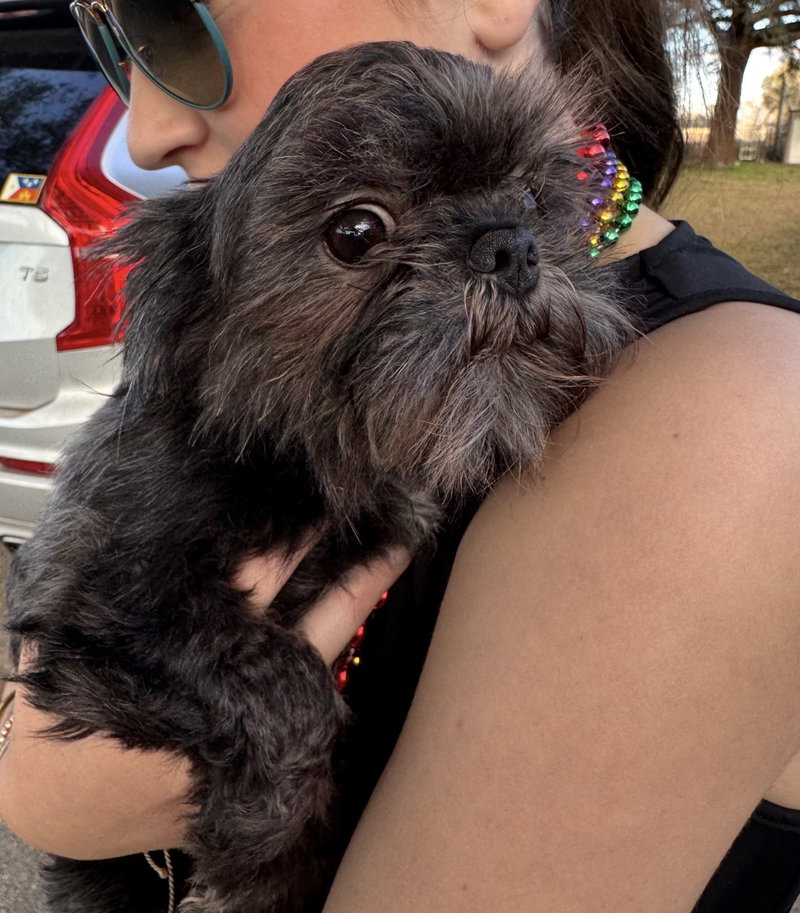 Wicket – NO MORE APPLICATIONS, PLEASE!!