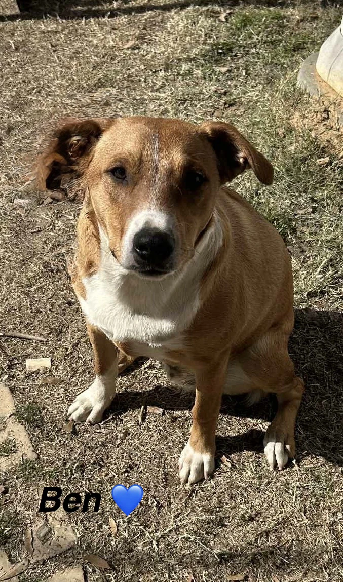Ben - Beautiful Boy