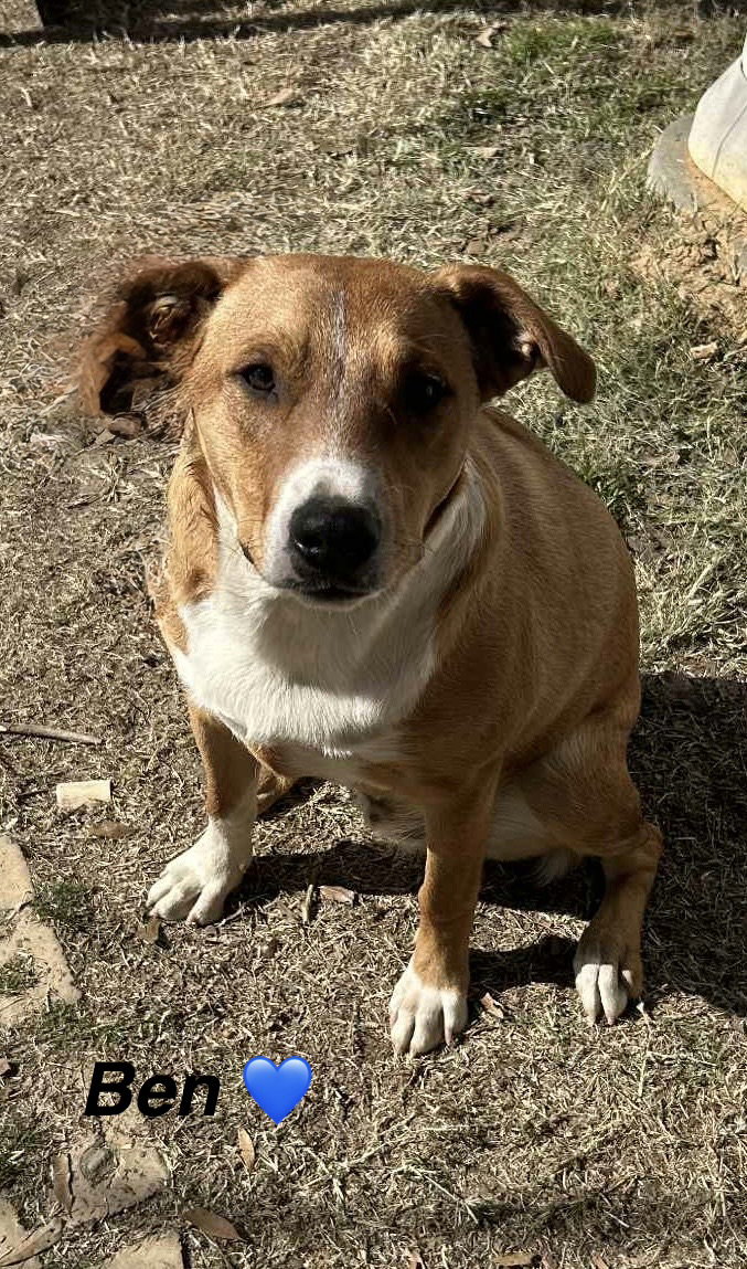 Ben- Beautiful boy!