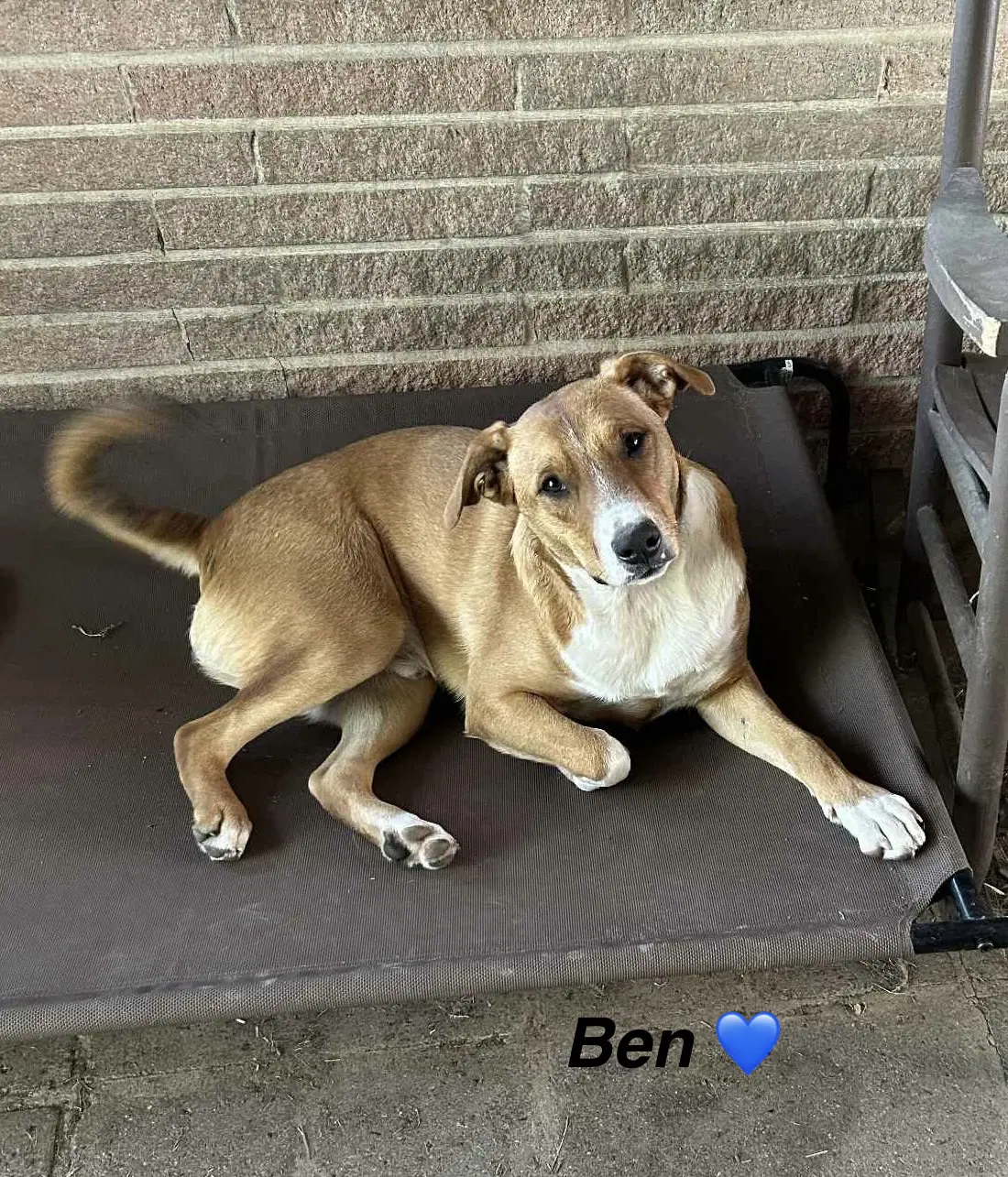 Ben - Beautiful Boy image 2