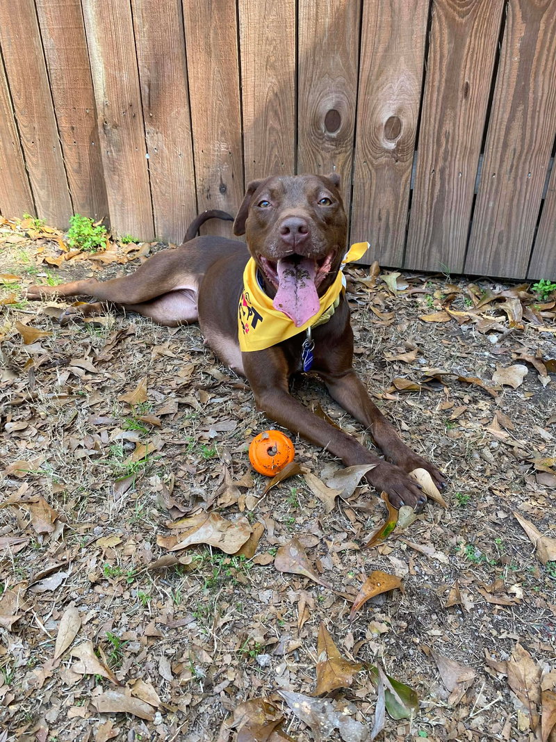 Adrian- playful sweetheart