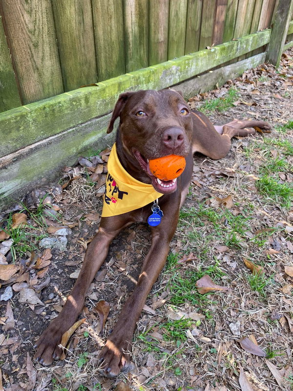 Adrian- playful sweetheart
