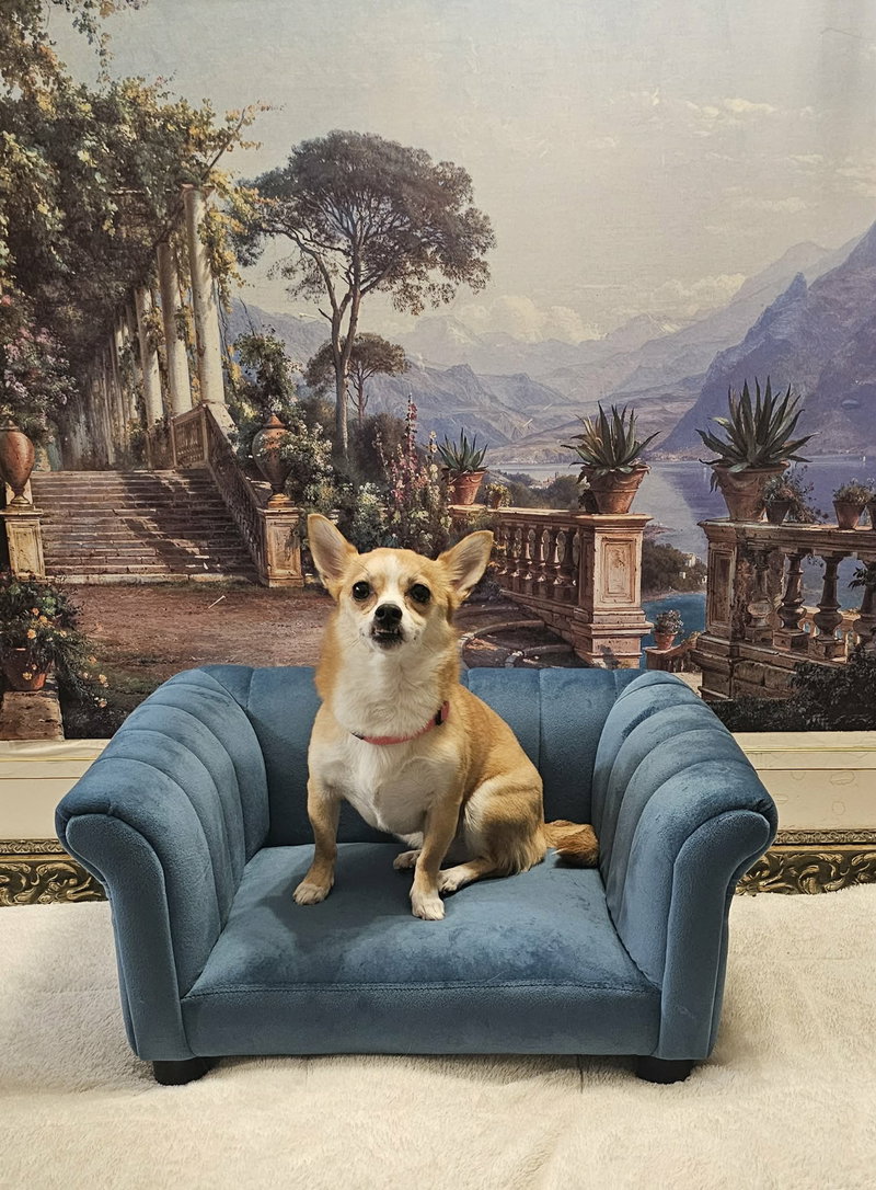 Nala- brave beauty