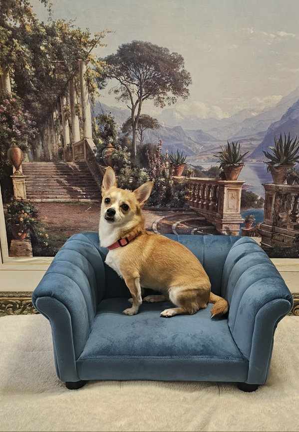 Nala- brave beauty