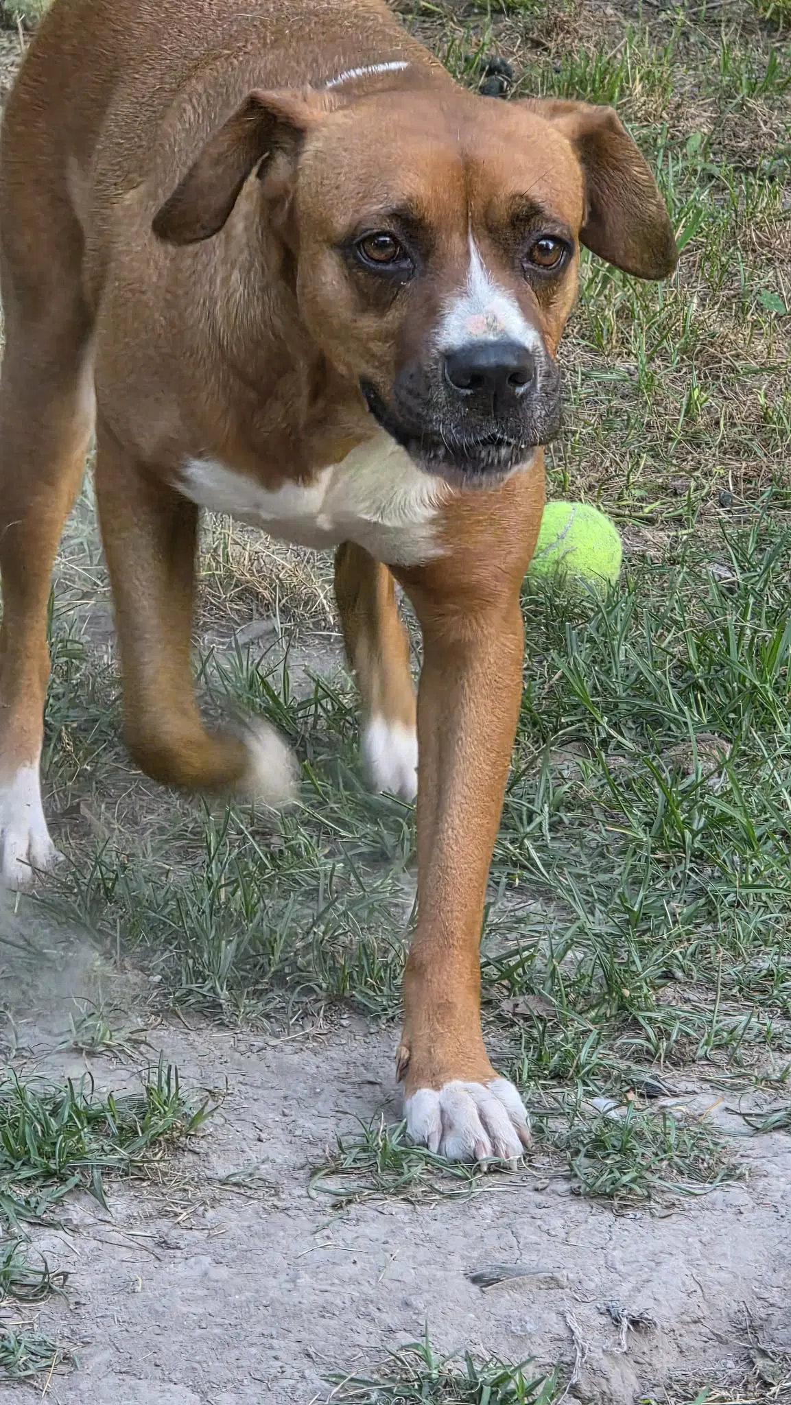 Mochie - Goofy Girl image 3