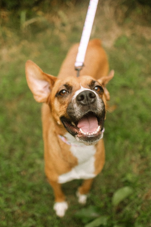Photo 2 of Mochie - goofy girl
