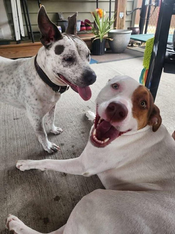 Trinity- certified good girl