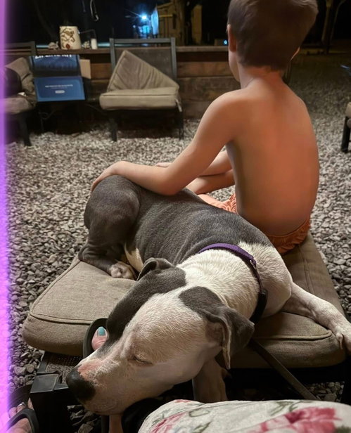 Galiano- LOVES kids photo 4