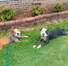 Solara - Energy, love, and blue-eyed charm! - Photo 4