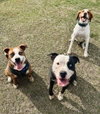 Solara - Energy, love, and blue-eyed charm! - Photo 5