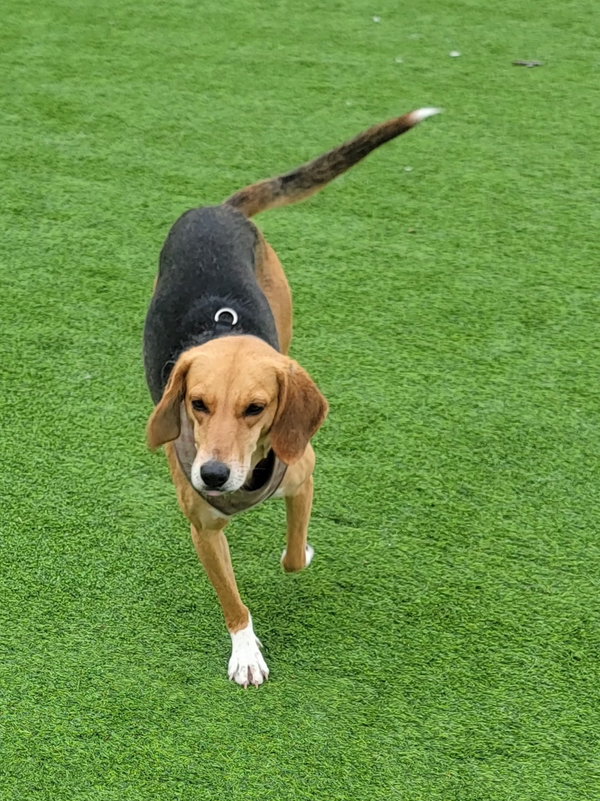 Sunny - No More Applications, Please!