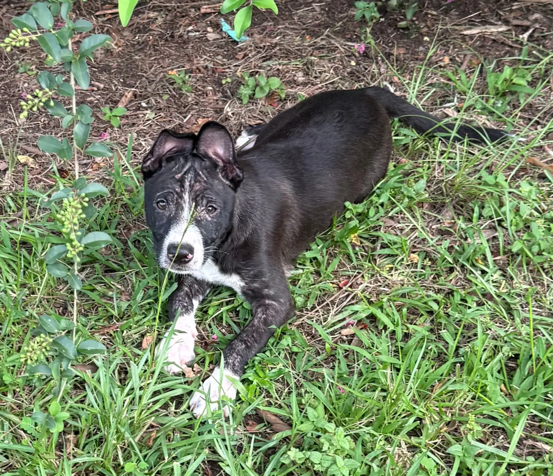 Loretta image 4