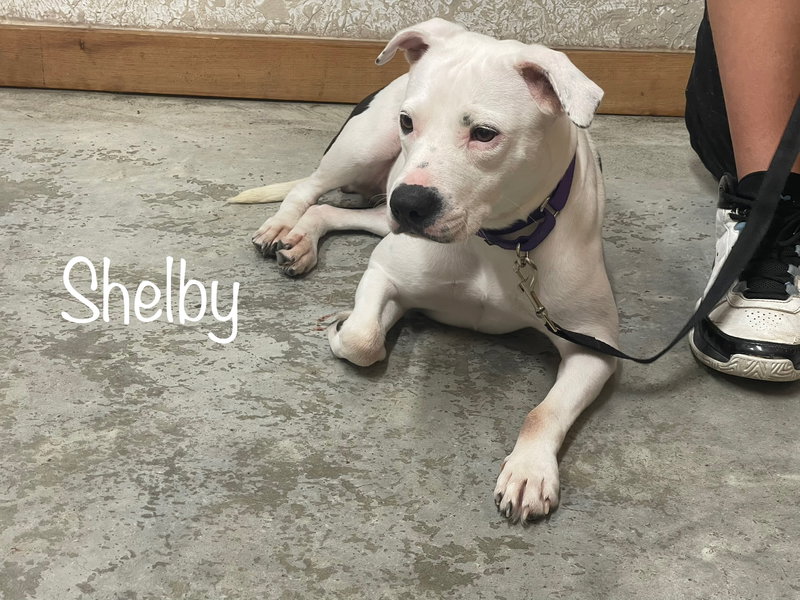 Shelby- special girl!
