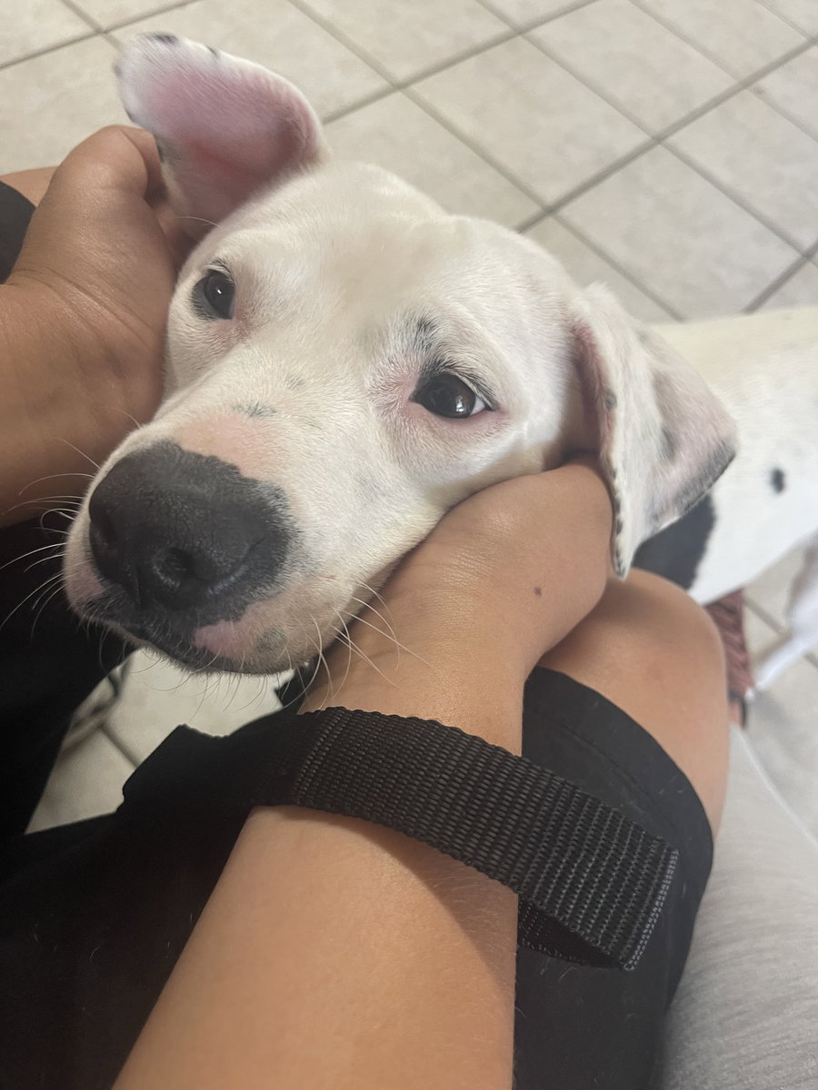Shelby- special girl!