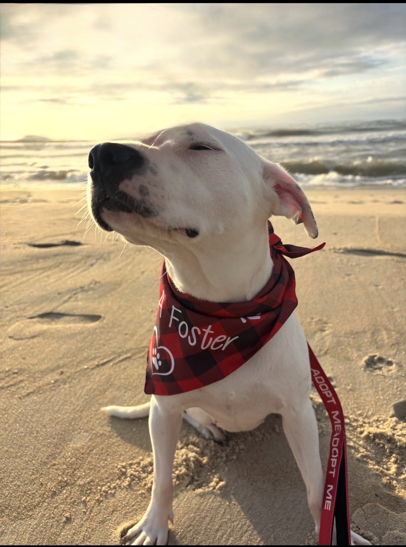 Shelby – such a special girl