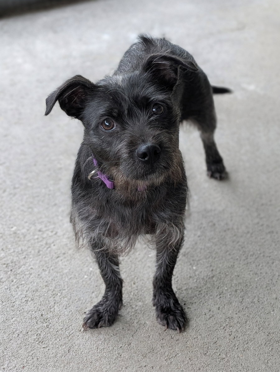 Brooke- cuteness overload