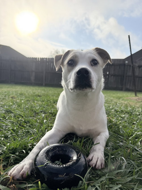Banjo - tornado of fun photo 2