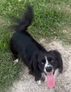 Macy - Maybe Me? - Photo 4
