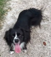 Macy - Maybe Me? - Photo 5