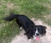 Macy - Maybe Me? - Photo 7