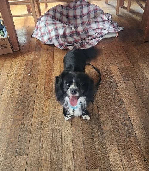 Macy - maybe me?