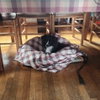 Macy - Maybe Me? - Photo 2